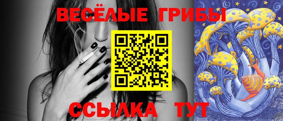 Благовещенск  Галлюциногенные грибы Cubensis  наркошоп  Галлюциногенные грибы мухоморы  Вход с VPN 