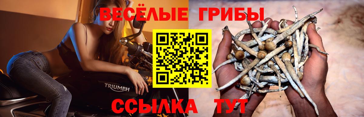 Галлюциногенные грибы ЛСД Благовещенск